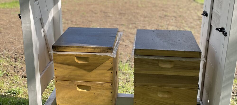 Die zwei Bienenstücke auf dem Betriebsgelände von GAH Alberts stehen geschützt in einem Unterstand.